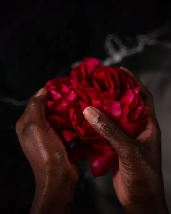 Sample image: a florist's hands cradling a red rose in low light